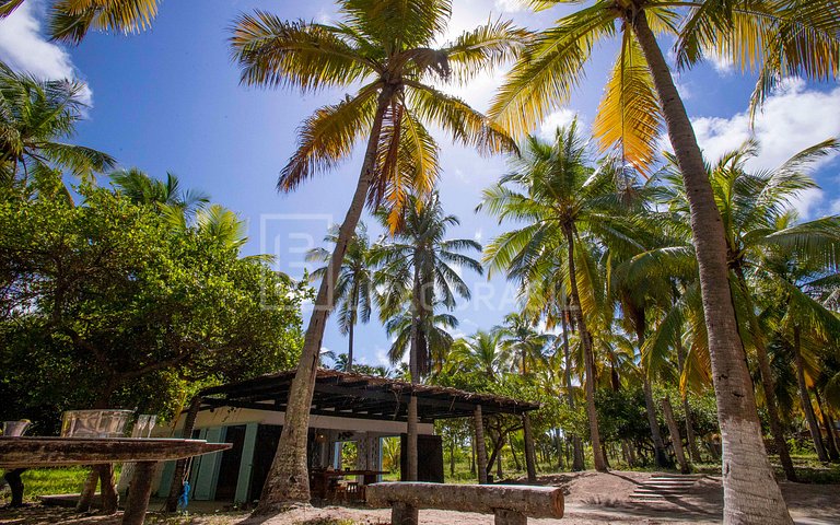 LUXOBRASIL #AL01 Sítio Santa Mônica Costa dos Corais Alagoas