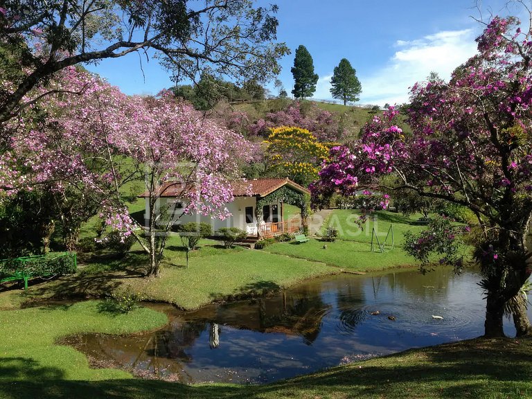 LUXOBRASIL #SP15 Fazenda Conceição Aluguel Temporada
