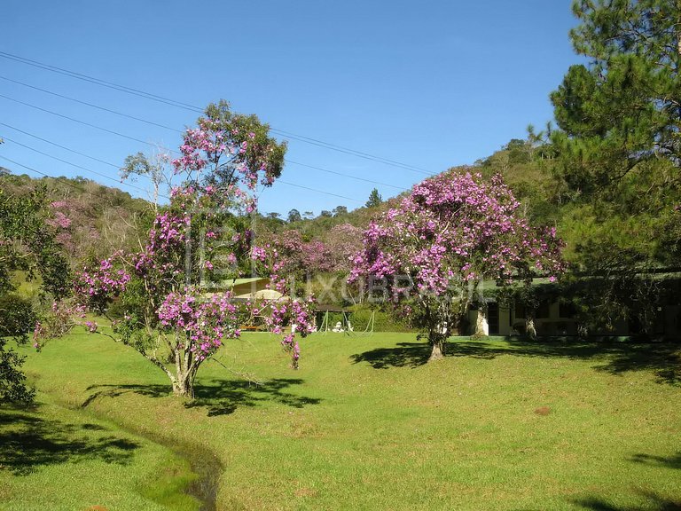 LUXOBRASIL #SP15 Fazenda Conceição Aluguel Temporada