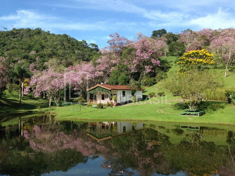 LUXOBRASIL #SP15 Fazenda Conceição Aluguel Temporada