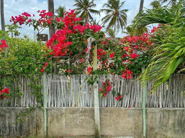 LB - CE04 Little Flower House on the Beach Icaraizinho de Am