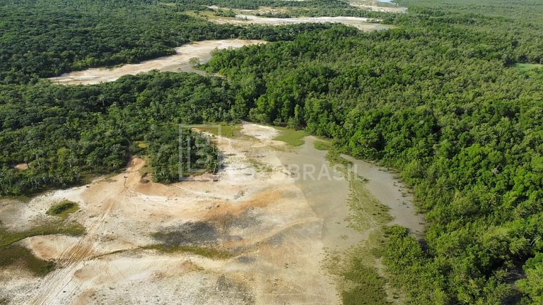 LB – PI800 Projeto Akoya: Terreno com 300 Hectares à Venda –