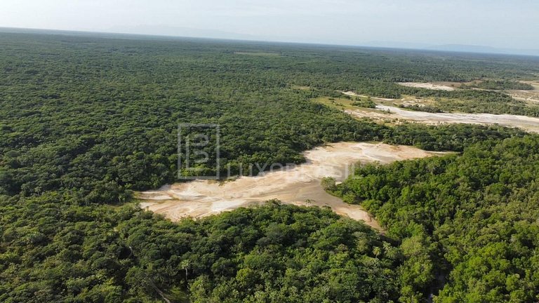 LB – PI800 Akoya Project: 300-Hectare Land for Sale – Piauí