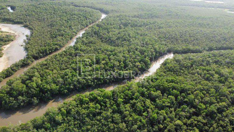 LB – PI800 Akoya Project: 300-Hectare Land for Sale – Piauí