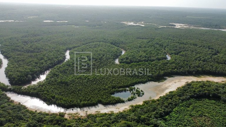 LB – PI800 Akoya Project: 300-Hectare Land for Sale – Piauí