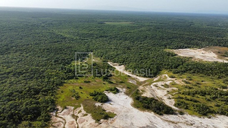 LB – PI800 Akoya Project: 300-Hectare Land for Sale – Piauí