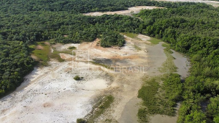 LB – PI800 Projeto Akoya: Terreno com 300 Hectares à Venda –