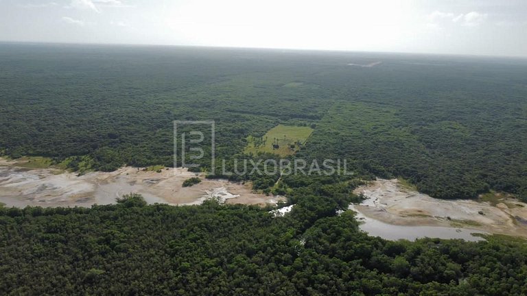 LB – PI800 Projeto Akoya: Terreno com 300 Hectares à Venda –
