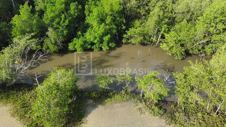 LB – PI800 Proyecto Akoya: Terreno de 300 Hectáreas en Venta