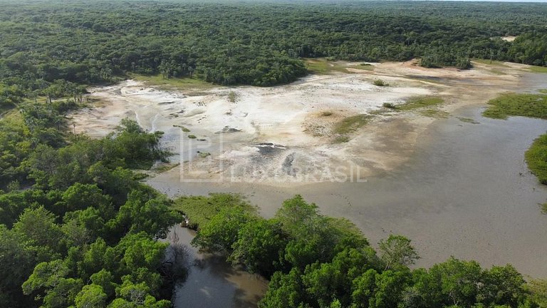 LB – PI800 Akoya Project: 300-Hectare Land for Sale – Piauí