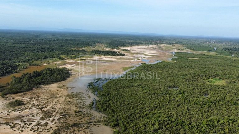 LB – PI800 Akoya Project: 300-Hectare Land for Sale – Piauí
