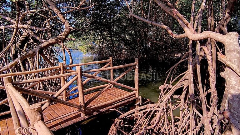 Casa Amora à venda na Ilha da Pesquisa | LB RJ1059