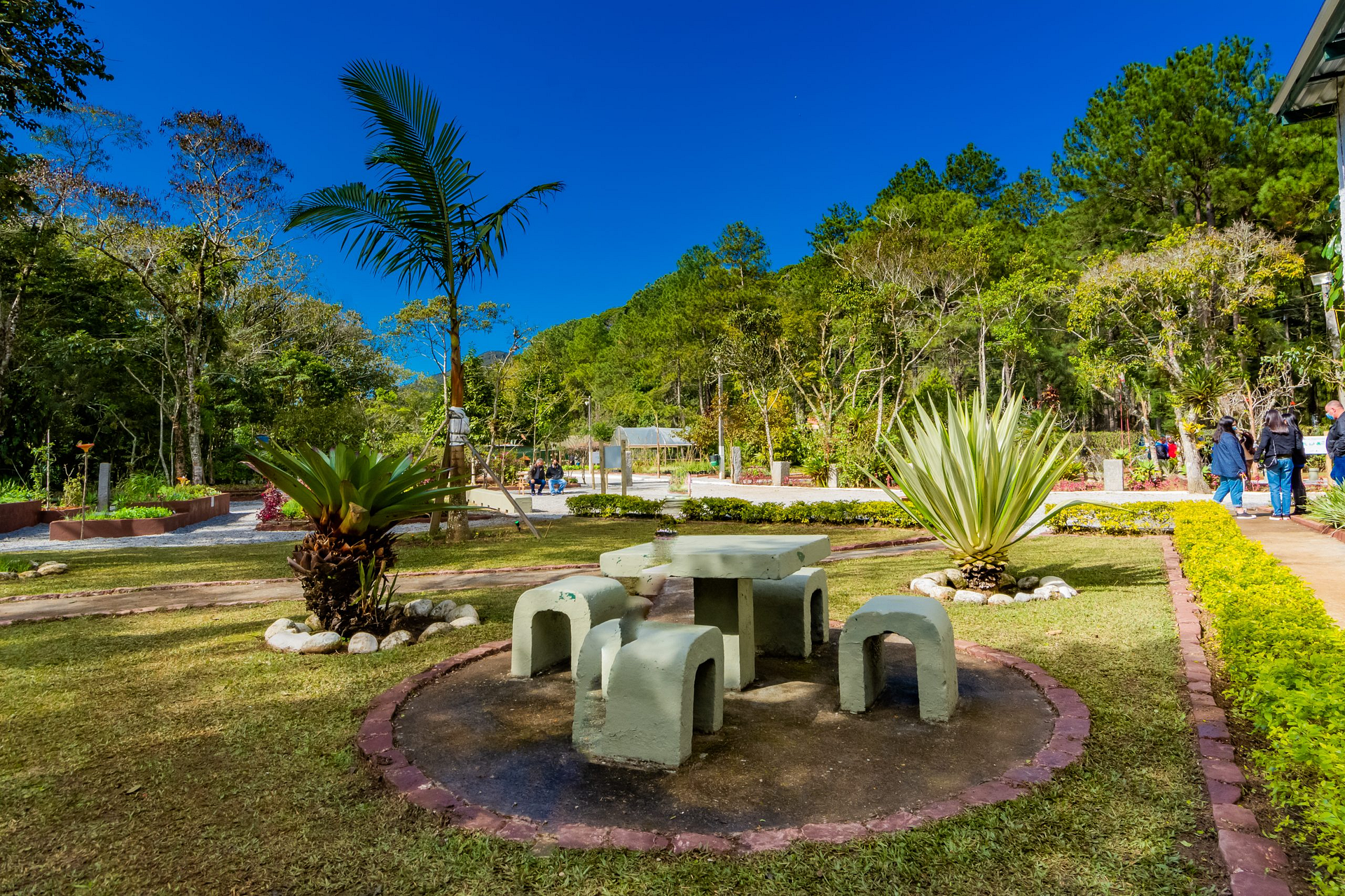 Aulas de Yoga